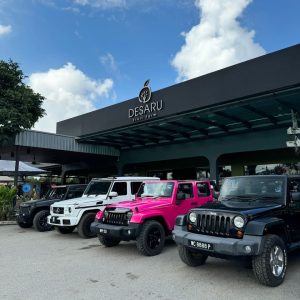 60 minutes Jeep Riding Tour in DFF